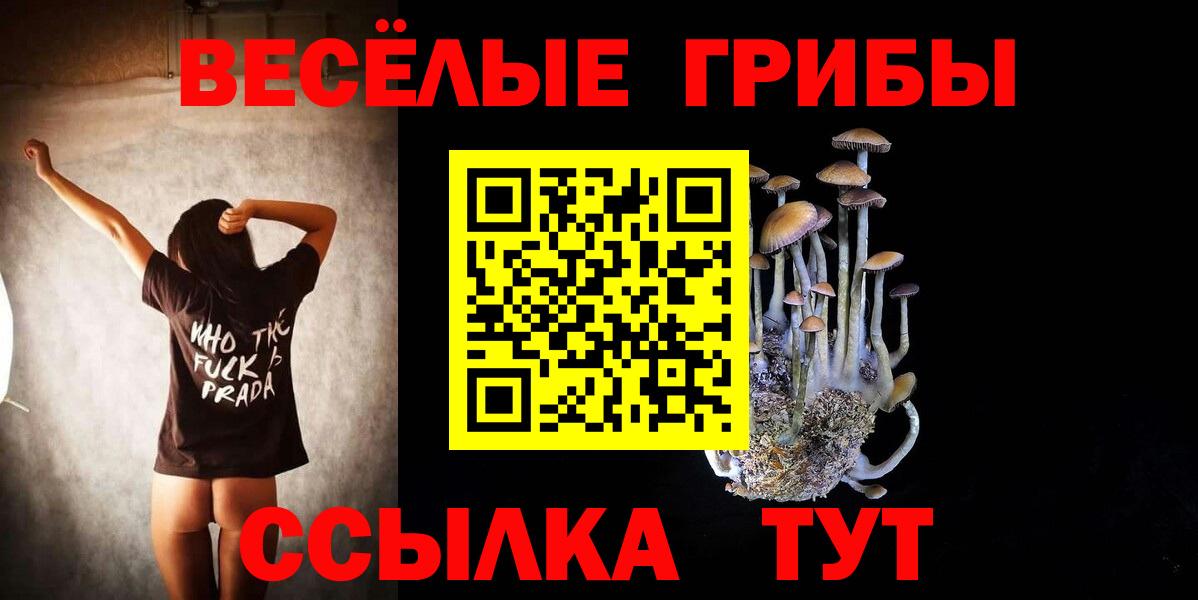 Псилоцибиновые грибы GOLDEN TEACHER Сибай